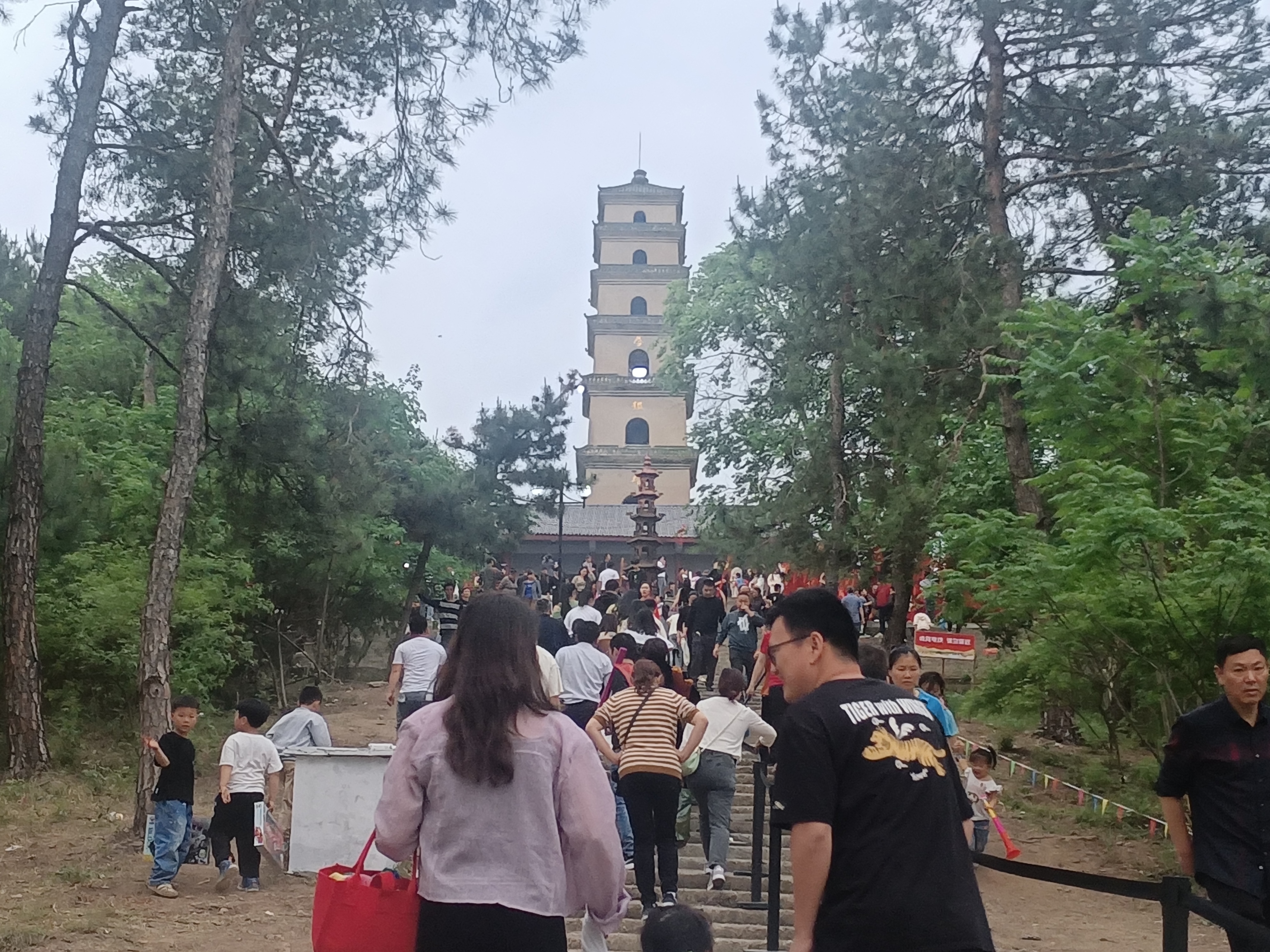 图片1.jpg 图片1.jpg